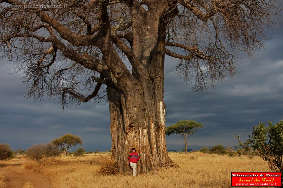TANZANIA - Tarangire National Park - 54.jpg